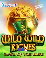 aa2 slot wild wild riches